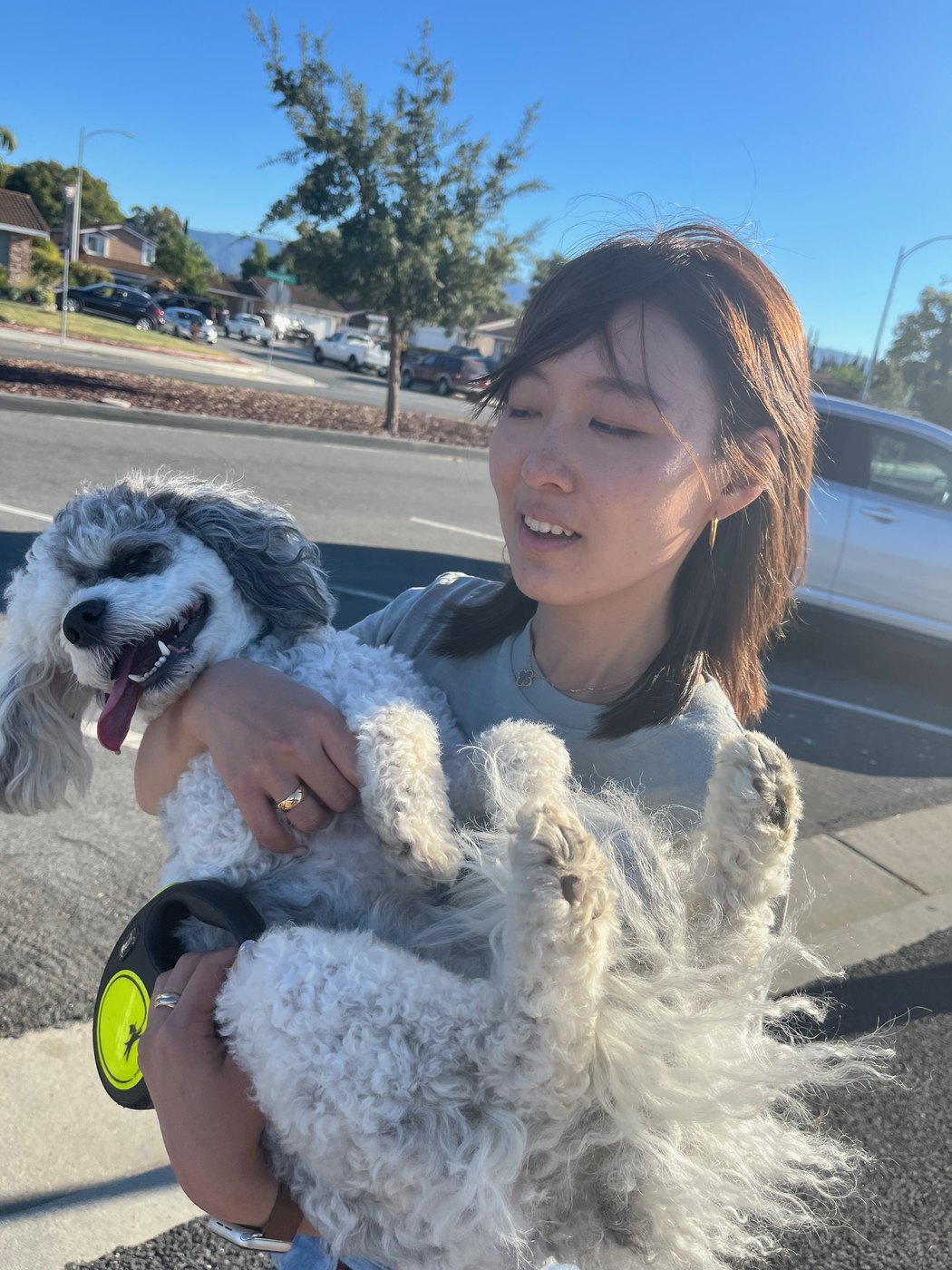 someone holding the dog on a sunny street